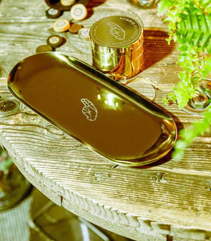 Stainless Steel Tray Gold 2
