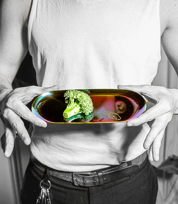 Stainless Steel Tray Rainbow 5