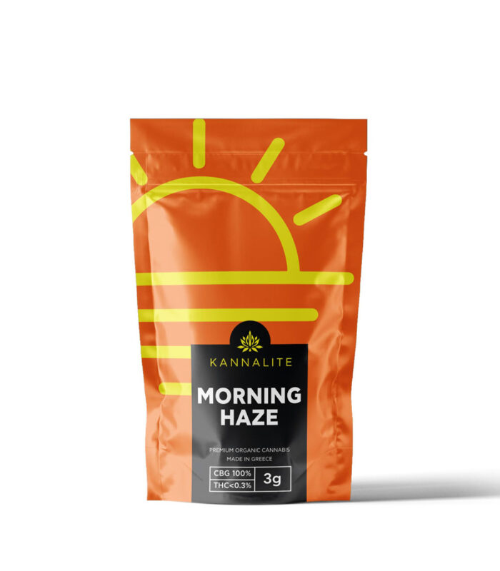 MORNINGHAZEWEB