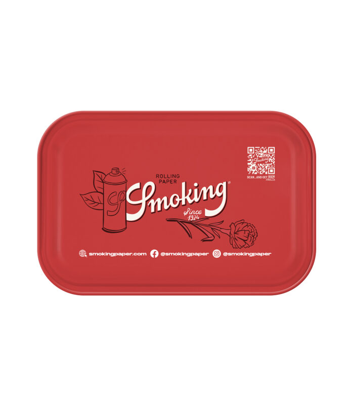 3D RT Skull Tempus fugit back smoking tray